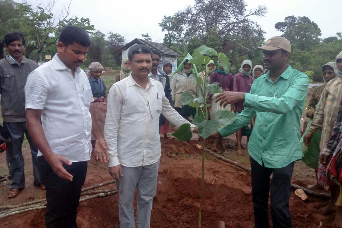 ಅರಣ್ಯ ರಕ್ಷಣೆ ನಮ್ಮೆಲ್ಲರ ಆದ್ಯ ಕರ್ತವ್ಯ
